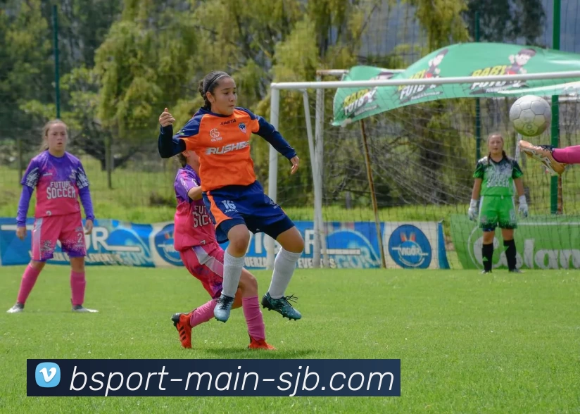 B体育主站，B体育主站，B体育官网，B体育入口，B体育APP平台生态图