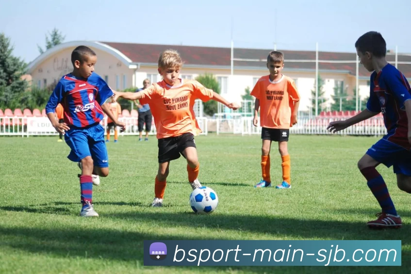 B体育主站，B体育主站，B体育官网，B体育入口，B体育APPAPP 封面图